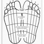 foot-diagram